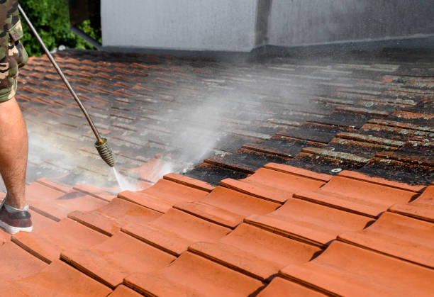 Best Roof Pressure Washing  in Kendallville, IN